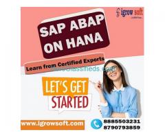  SAP HANA Online Training Institute in Ameerpet Hyderabad | Igrowsoft