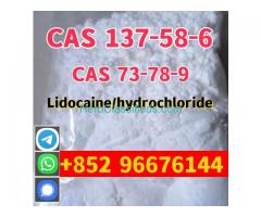 CAS 137-58-6 Lidocaine high quality good price hot sale stock and safe fast delivery